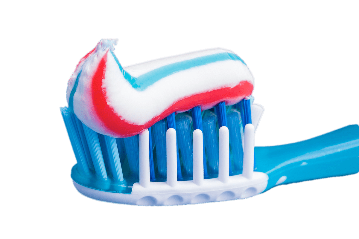 Red and Blue Toothpaste on Brush