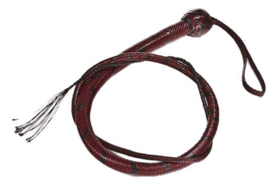 Red and Black Leather Whip