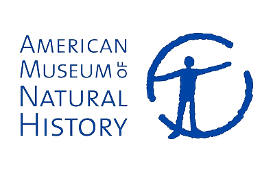 American Museum of Natural History stacked 