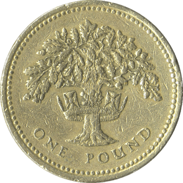 One Pound Coin