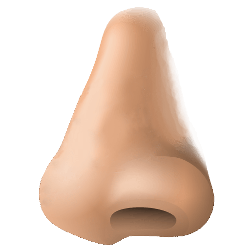 Human Nose Clipart