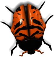 Ladybug Yellow and Black Head Down