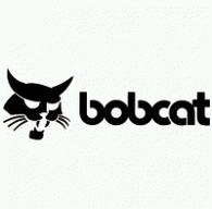bobcat