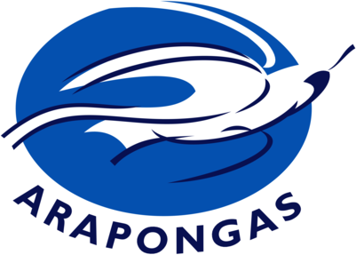 Associacao Atletica Arapongas de Arapongas PR 78013