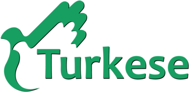 Turkese
