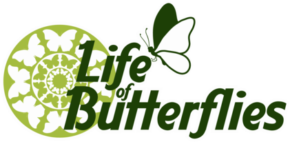 Life of Butterflies