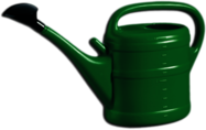 Green Plastic Watering Can