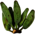 Plantain