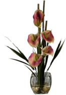 Pink Calla Lilies Composition