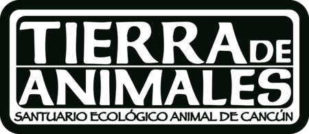 Tierra de Animales