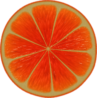 Large Orange Slice