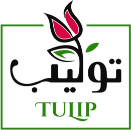 TULIP Flowers & Gifts