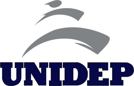 universidad del desarollo profesional