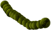 Worm Green Spiky