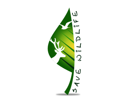 Natural and Wildlife