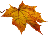 Autumm Leaves Solo Right