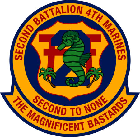 2nd Battalion 4th Marine Regiment USMC