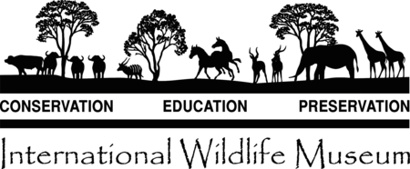 International Wildlife Museum
