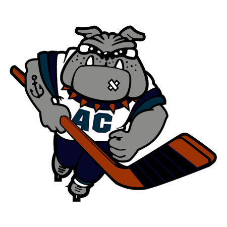 Atlantic City Boardwalk Bullies