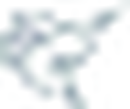 Palm Beach Atlantic Sailfish