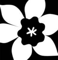 Canadian Cancer Society