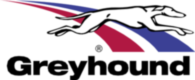 Greyhound