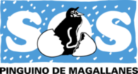 Pinguino De Magallanes
