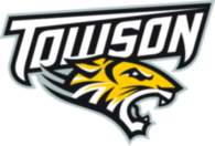Towson Tigers