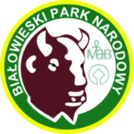 Bialowieza National Park