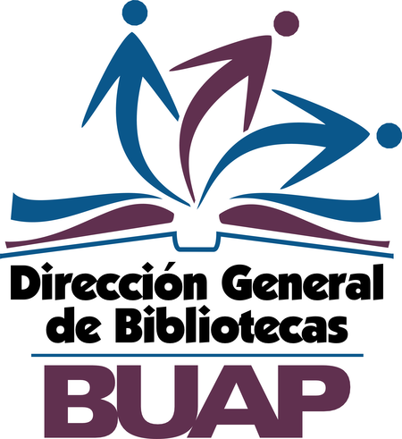 Direccion General De Bibliotecas