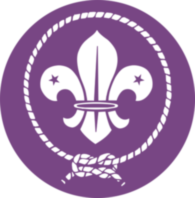 World Scout Movement