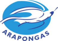 Associacao Atletica Arapongas De Arapongas Pr