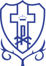 Dom Bosco Futebol Clube De Tres Lagoas Ms