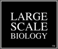 Large Scale Biology