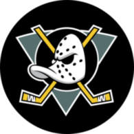 Anaheim Mighty Ducks 5291