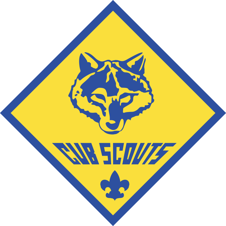 Cub Scouts