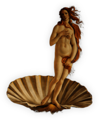 Birth Of Venus