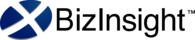 BizInsight