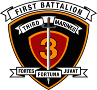 1st Battalion 3rd Marine Regiment USMC
