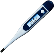 Digital Medical Thermometer