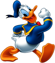 Donald Duck Walking