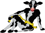 The Skinny Cow
