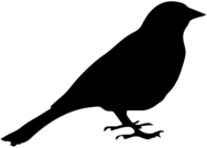 Bird Silhouette