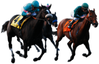 Racing Horses