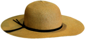 Summer Hat