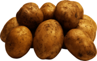 Group Of Potatoes