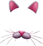 Snapchat Filter Bunny Rose