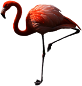 Flamingo Standing Left