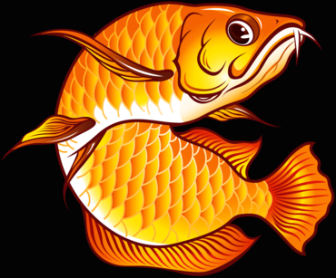 Arowana Vector Art
