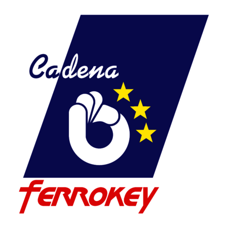 Ferrokey
